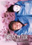 CEREZOS EN FLOR