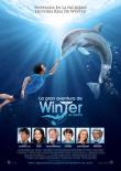 LA GRAN AVENTURA DE WINTER EL DELFIN- BR