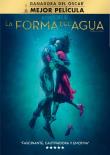 LA FORMA DEL AGUA - BR